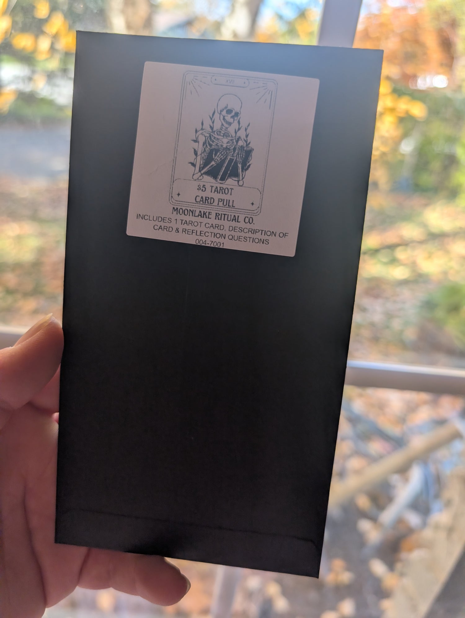 Tarot & Oracle Card Pulls