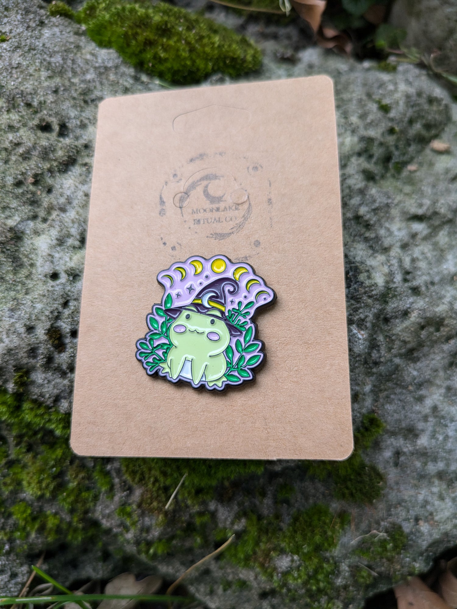 Magical Witchy Frog Pin