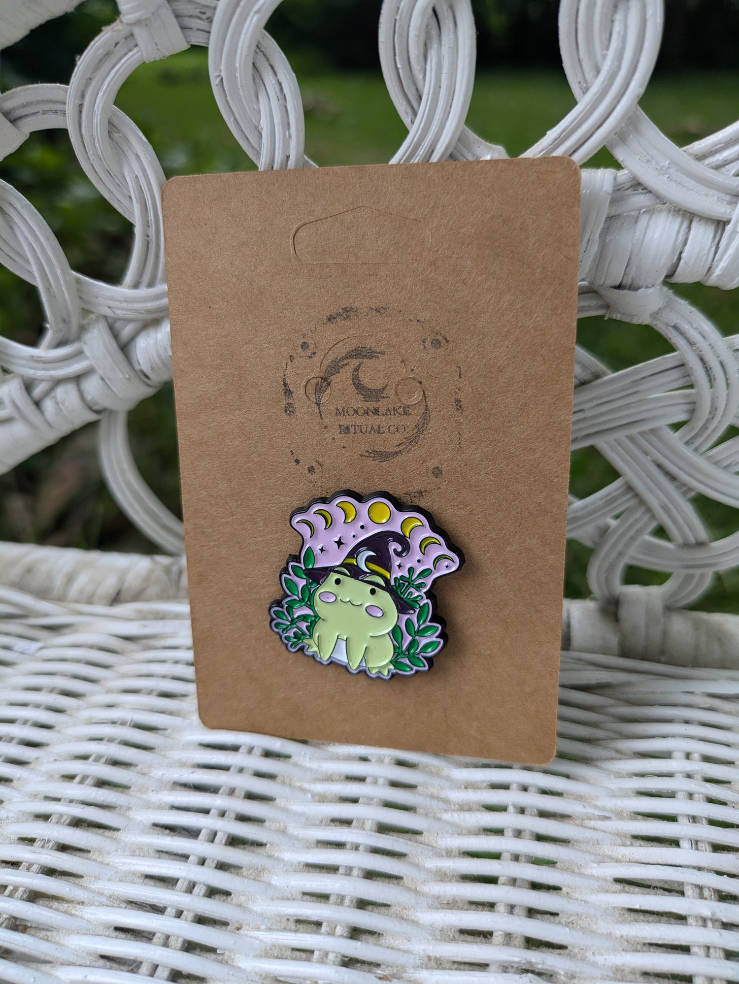 Magical Witchy Frog Pin